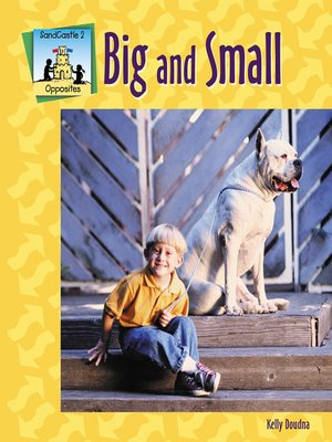 cover image of Big-Small